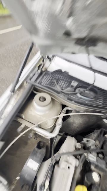 ЛАРГУС КРОСС - один хозяин