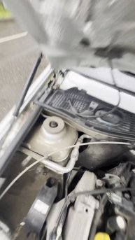 ЛАРГУС КРОСС - один хозяин