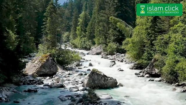 Почему мы любим Абу Хурайру? Пятничная хутба. Часть 2. Абу Яхья Крымский | Абу Яхья Крымский