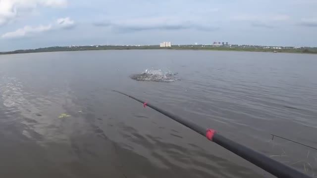 Шыесть
