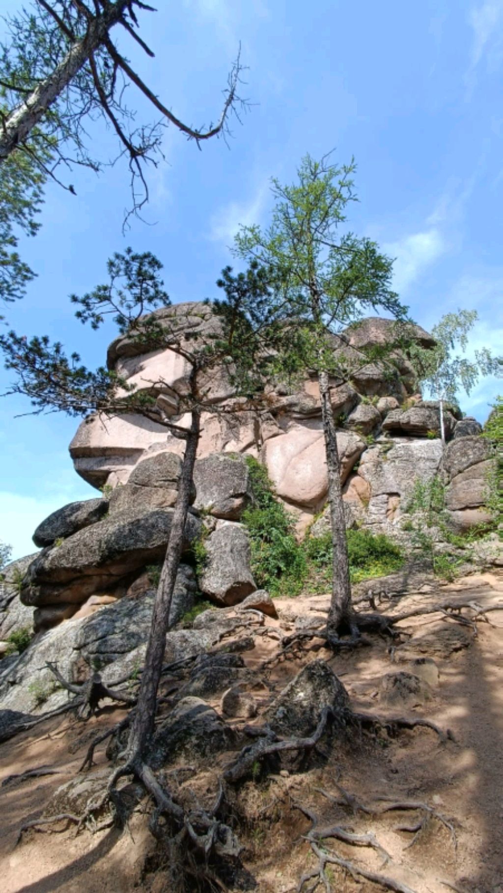 Я из 2026 года