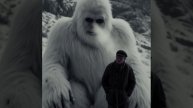 снежный человек, секретные кадры