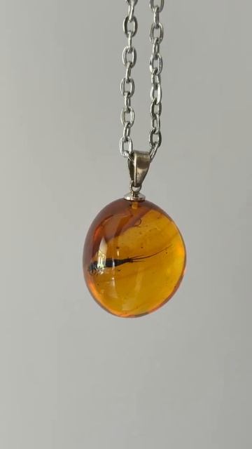 ИНКЛЮЗИЯ В ЯНТАРЕ #янтарь #аннашаульская #миркамней #литотерапия #янтарныеукрашения