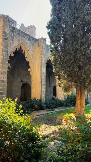 все на Кипр