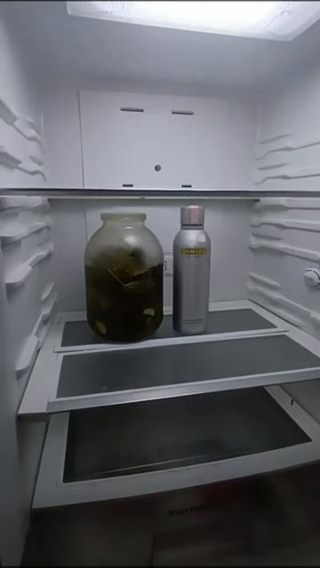 Живут же люди!!! #жизнь #люди #холодильник #огурцы #водка #самогон #здоровье #самогонка