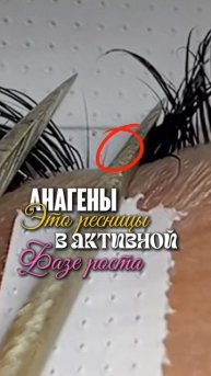 Как правильно работать с ресницей анаген?!