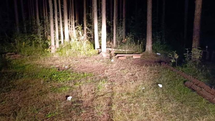 В Ленобласти ребенок погиб при взрыве предмета под костром в лесу