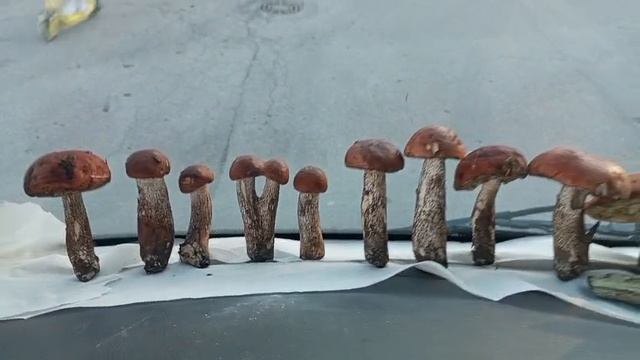 красиво❓21-08-2025