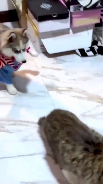 Ну, во-первых, это смешно
