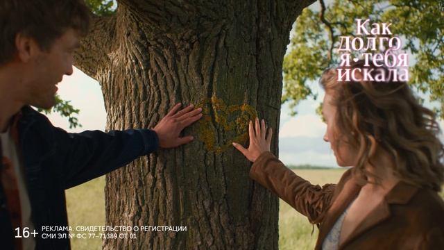 ТРАНСМЕДИА - Домашний