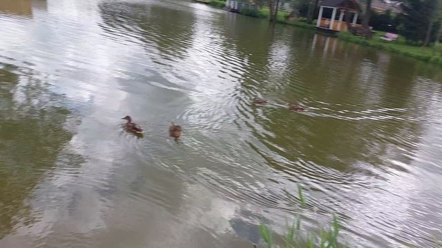 пополнение 20 августа 2025