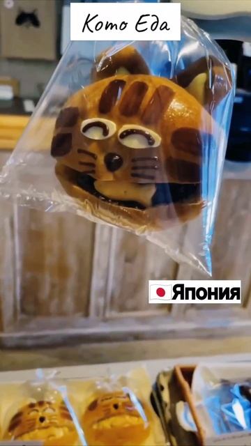 Любопытный дизайн в "стиле котов"💥😲😸 Вы бы такое ели!? #котики #житьжизнь #юмор #еда #рек #кулинария