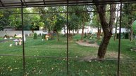 Железная дорога