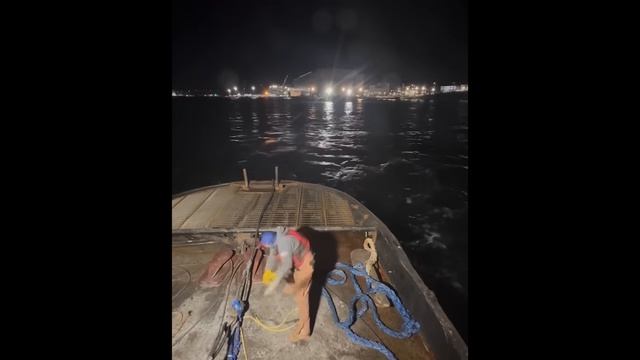 Смешные видео 1-6