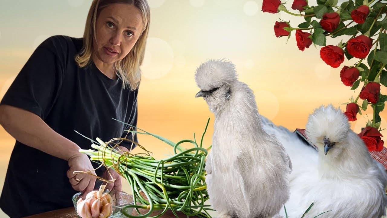 ДОМИК НА МАЙСКОЙ! БЕЛАРУСЬ! НА БОЛОТЕ! ГОТОВИМ ПАСТУ ИЗ ЧЕСНОЧНЫХ СТРЕЛОК!