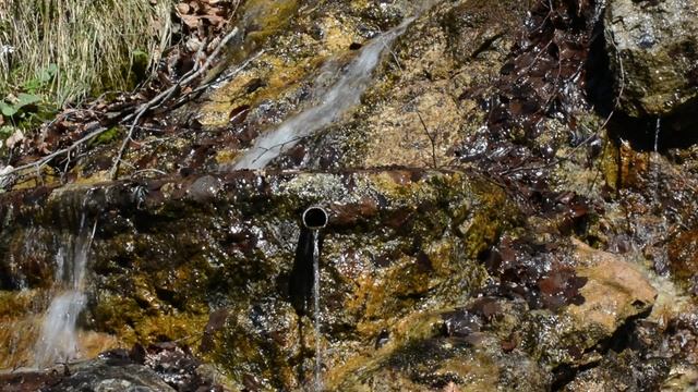 успокаивающие видио