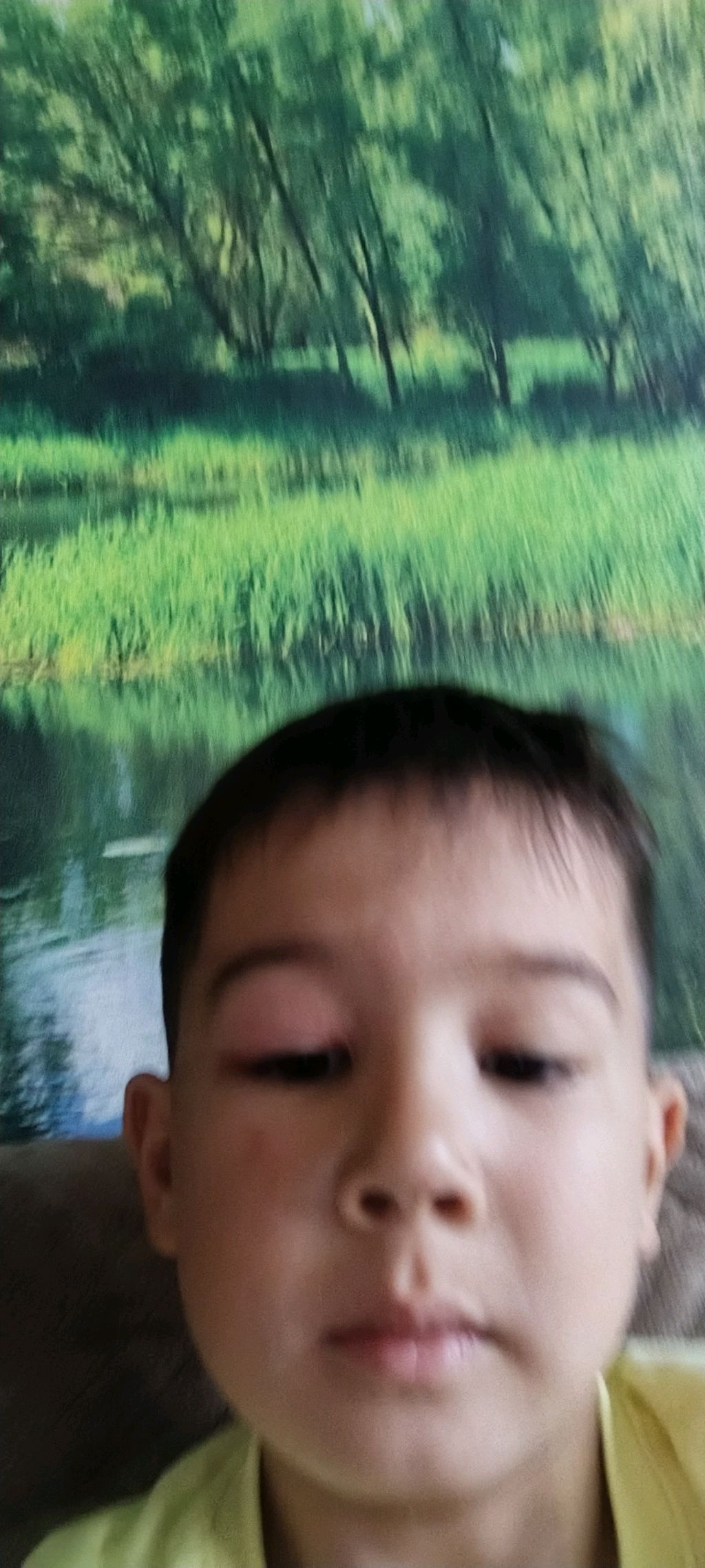 делаю механизмы в майнкрафте и показываю их