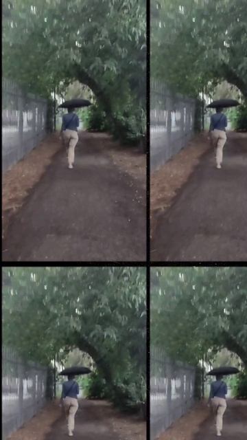 Дождь - это прекрасно! Вся природа, будто оживает, шум дождя успокаивает. Ведика сила дождя!