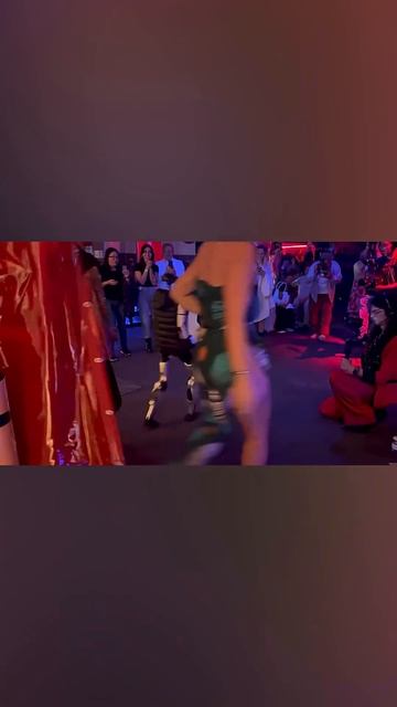 Подпольные бои роботов в США