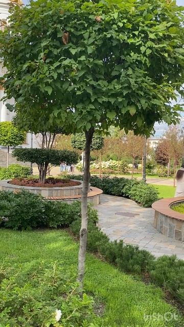 Где побывать в Екатеринбурге | самое красивое место в Екатеринбурге