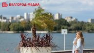 На белгородских «Берегах» появились финиковые пальмы и бордовые кордилины