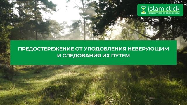 Как можно шутить мусульманам? Примеры шуток Пророка Мухаммада ﷺ. Абу Яхья Крымский
