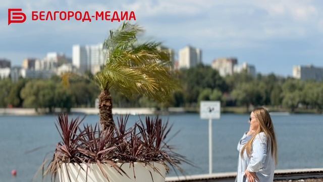 На белгородских «Берегах» появились финиковые пальмы и бордовые кордилины 🌴