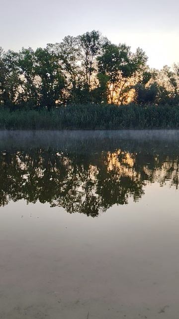 красивая река Айдар в ЛНР , утро 21.08.2025