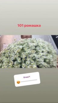 101 ромашка