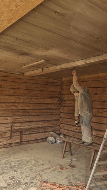 МАТИЦА В ИЗБЕ!