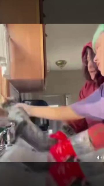 5690b0ccb28b371d275cf3bf9fd42035.mp4