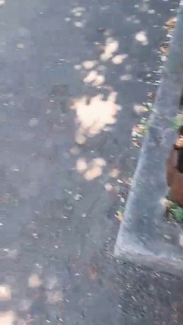 Голубые дали, 14