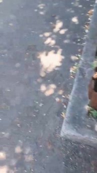 Голубые дали, 14