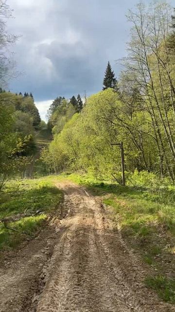 #квадроциклы #квадроцикл #grizzly700