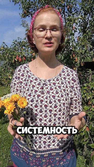 Что важно при приёме БАД