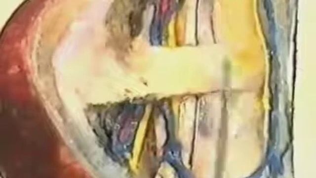 5. ОБЛАСТЬ ГОЛЕНОСТОПНОГО СУСТАВА