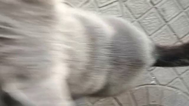 Донбасс