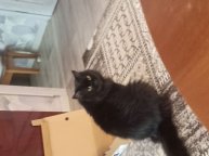 играю в игру в кальмар с багами