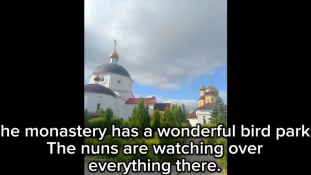 Степан Огороднийчук, 1 возрастная категория