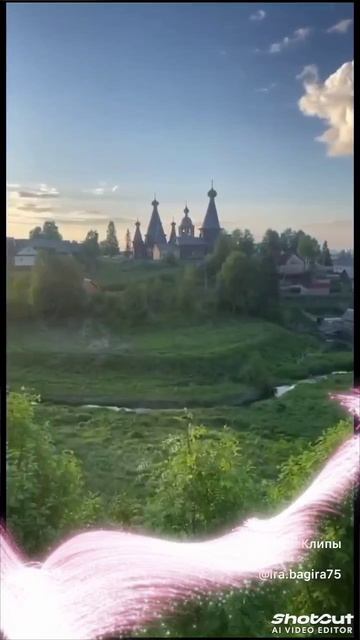 Abrikos favorite.mp4