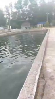 Лечебные источники Абхазии. Комплекс "Ашара". Посёлок Кындыг.