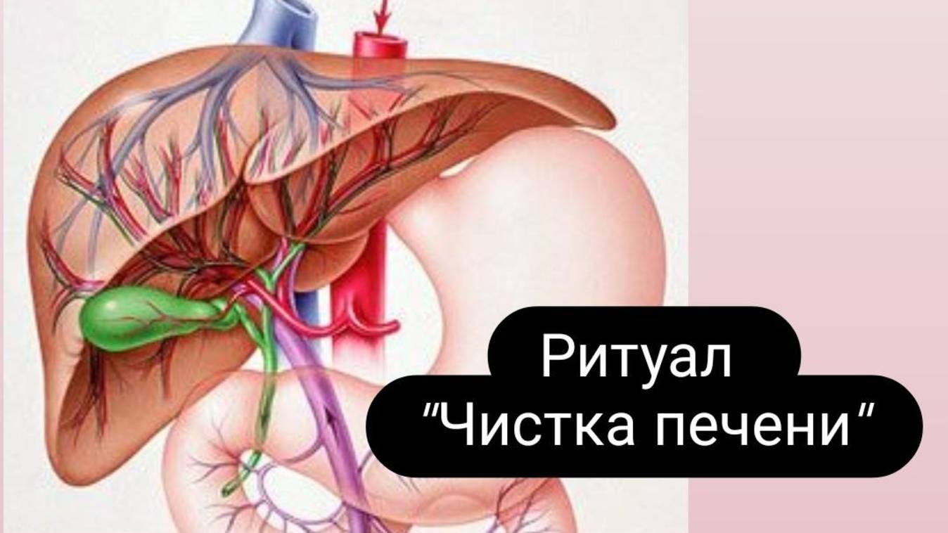 Ритуал _Чистка печени_ #ритуал #чисткапечени #чистка