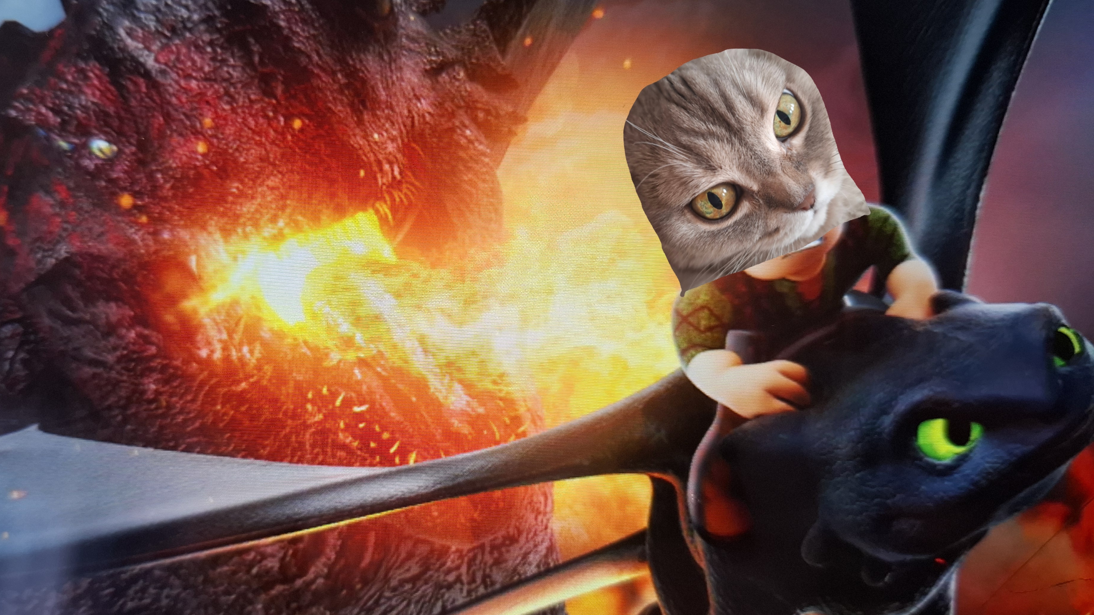 я приручила Беззубика в roblox! мерсюша Play( Baby кош)