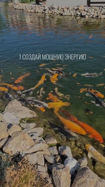 как связаны сексуальность и деньги