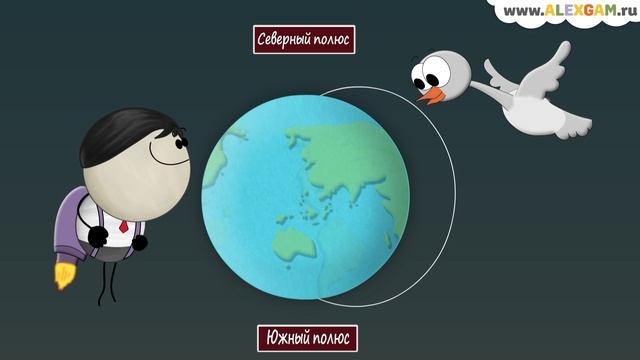 Как перелетные птицы находят свой путь?