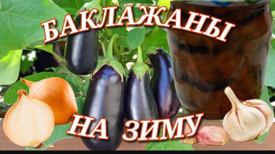 Баклажаны на зиму. Рецепт из баклажанов. Вкуснейшая заготовка из баклажан на зиму