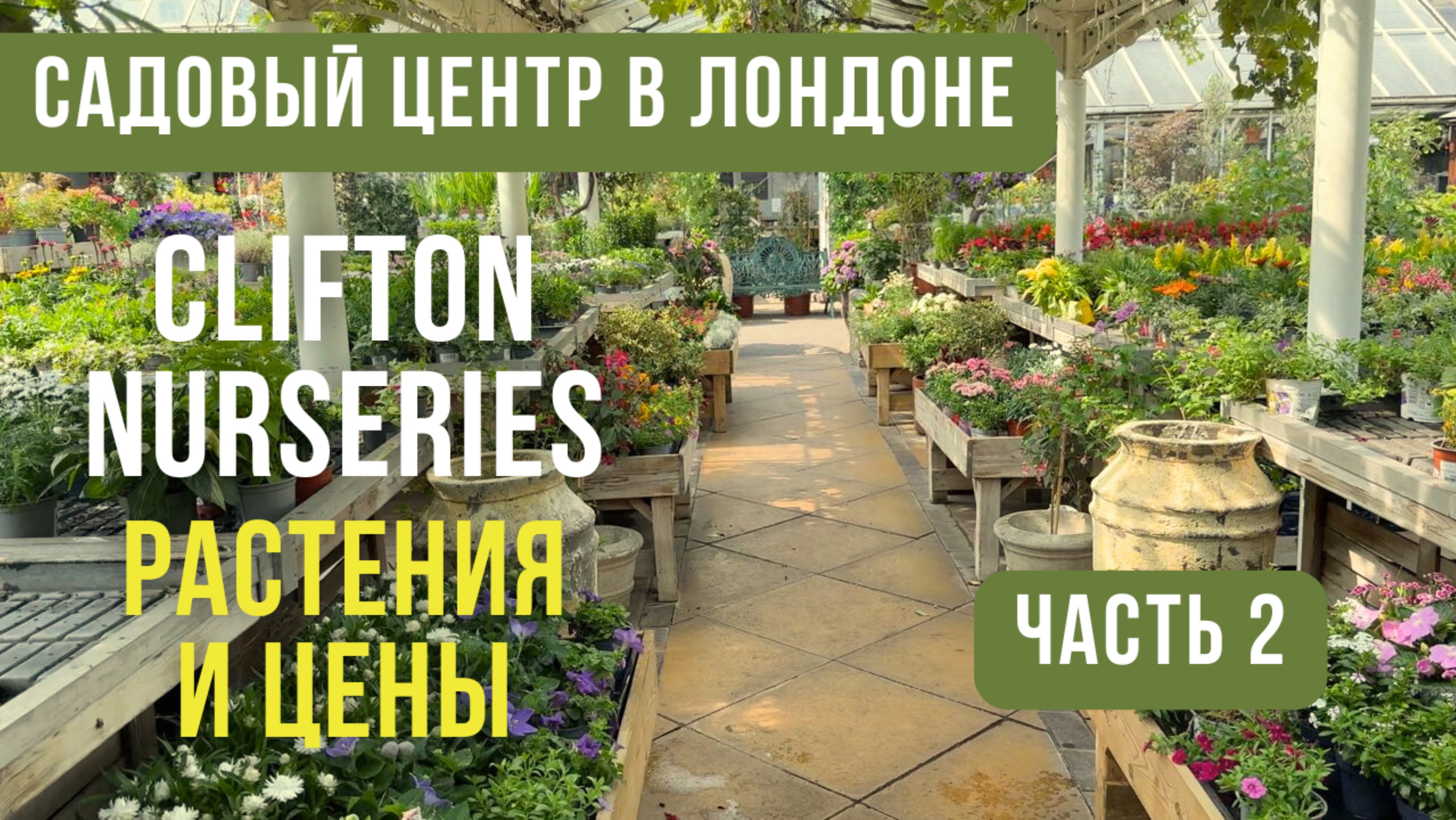Clifton Nurseries в Лондоне – оранжереи, цены, кафе 🌿 Обзор и прогулка | Часть 2
