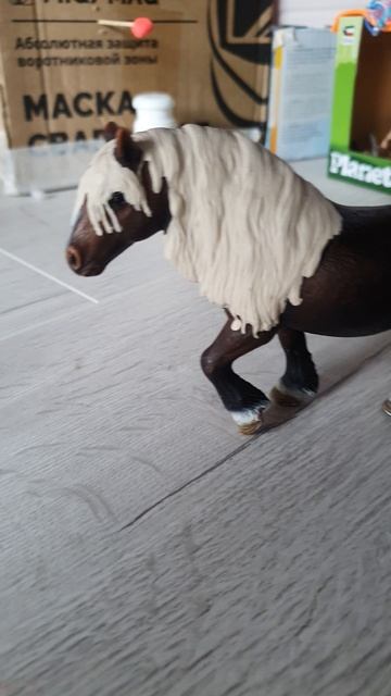 у меня хейтер