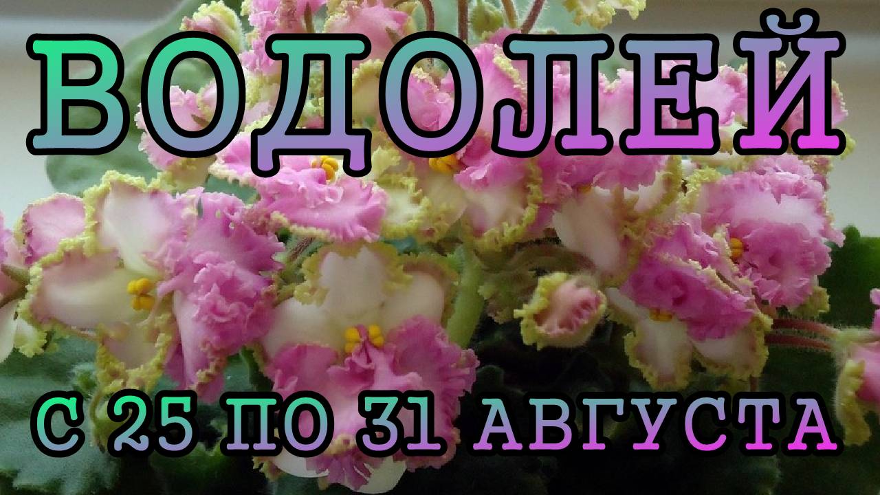 ВОДОЛЕЙ таро прогноз на неделю с 25 по 31 АВГУСТА 2025 года.