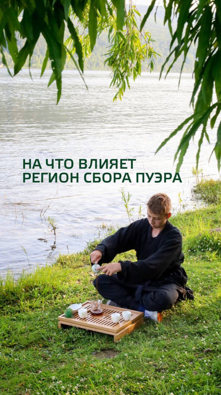 Регион сбора #Shorts